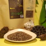 Organic Flax Seeds | Alsii Seeds