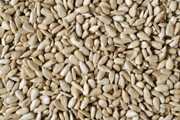 Organic Sunflower Seeds (Kernels Without Shell) – 100g | Boost Immunity & Support Weight Loss